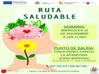 RUTA SALUDABLE LA APARECIDA. 15/11/2023